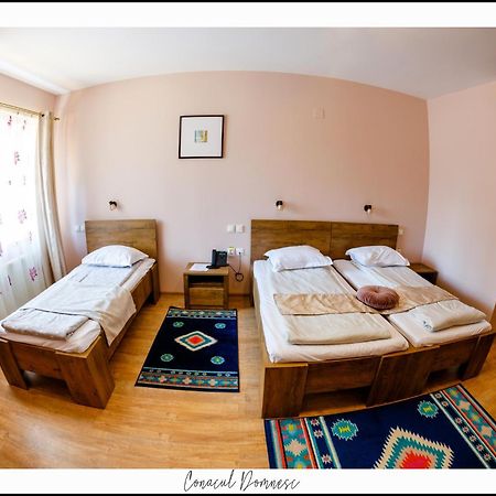 Conacul Domnesc Otel Scheia Dış mekan fotoğraf