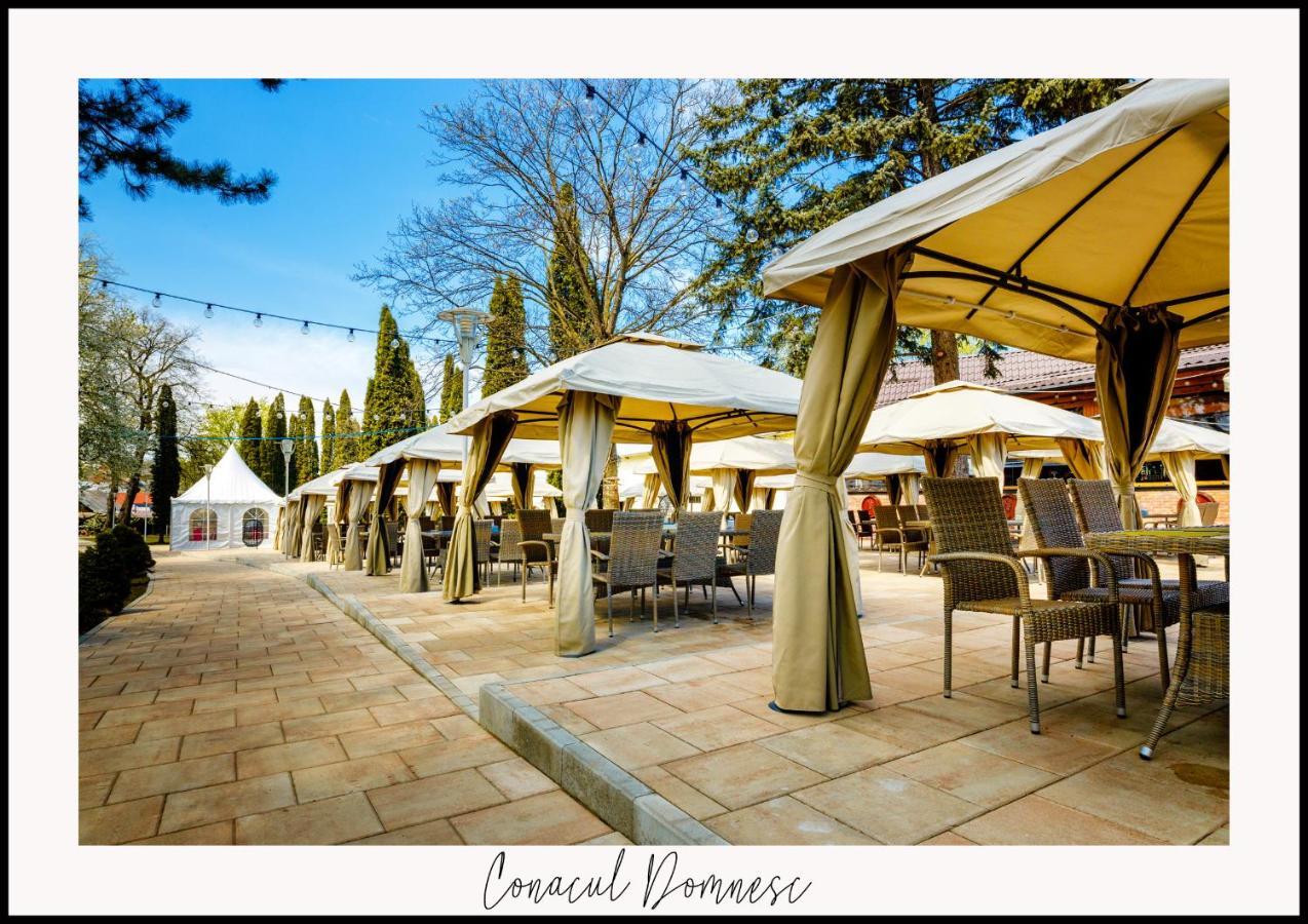 Conacul Domnesc Otel Scheia Dış mekan fotoğraf