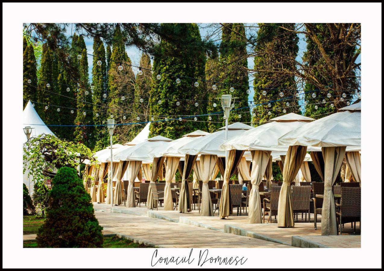 Conacul Domnesc Otel Scheia Dış mekan fotoğraf